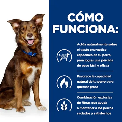 Cómo funciona: actúa sobre el gasto energético del perro para pérdida de peso, favorece quemar grasa y combina fibras para mantener saciedad. Texto acompañado de iconos.