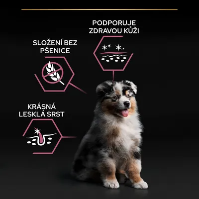 Text v češtine: SLOŽENÍ BEZ PŠENICE, PODPORUJE ZDRAVOU KŮŽI, KRÁSNÁ LESKLÁ SRST. Obrázky symbolizujúce benefity a šteňa psa.