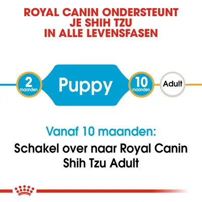 Royal Canin ondersteunt je Shih Tzu in alle levensfasen. Puppy: 2–10 maanden. Vanaf 10 maanden: schakel over naar Royal Canin Shih Tzu Adult.