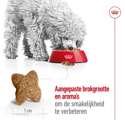 Hond eet uit rode voerbak met Royal Canin kroon, brok van 1 cm zichtbaar. Tekst: Aangepaste brokgrootte en aroma’s om de smakelijkheid te verbeteren.
