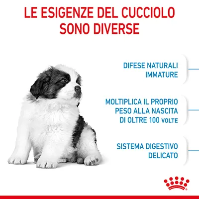Le esigenze del cucciolo sono diverse: difese naturali immature, moltiplica il proprio peso alla nascita di oltre 100 volte, sistema digestivo delicato.