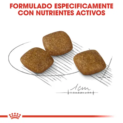 Tres croquetas cuadradas de pienso junto a escala de 1 cm. Texto: Formulado específicamente con nutrientes activos.