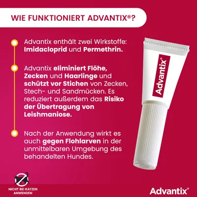 Advantix enthält Imidacloprid und Permethrin, eliminiert Flöhe, Zecken, Haarlinge, schützt vor Stichen und reduziert das Risiko von Leishmaniose. Nicht bei Katzen anwenden.