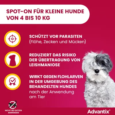 Advantix Spot-On für kleine Hunde von 4 bis 10 kg. Schützt vor Parasiten, reduziert Risiko der Leishmaniose-Übertragung, wirkt gegen Flohlarven. Nicht bei Katzen anwenden.