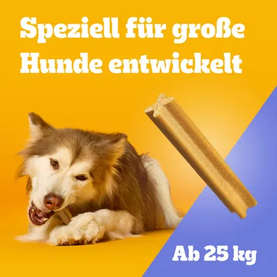 Speziell für große Hunde entwickelt. Ab 25 kg.