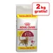 10 kg + 2 kg gratis! Royal Canin 12 kg im Bonusbag