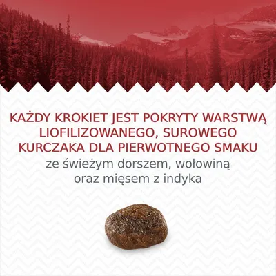 Każdy krokiet jest pokryty warstwą liofilizowanego, surowego kurczaka dla pierwotnego smaku ze świeżym dorszem, wołowiną oraz mięsem z indyka. Widoczny pojedynczy krokiet.