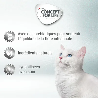 CONCEPT FOR LIFE. Avec des prébiotiques pour soutenir l'équilibre de la flore intestinale, ingrédients naturels, lyophilisées avec soin. Chat blanc à poils longs visible.