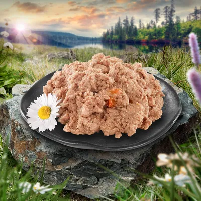 Portie natvoer op zwart bord met witte bloem, geserveerd buiten op een steen. Geen merknaam of verpakking zichtbaar.