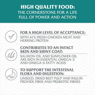 Wolf of Wilderness Adult "Deep Seas" sleď - bez obilovin