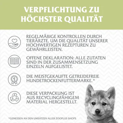 Little Wolf of Wilderness Junior Green Fields, agneau pour chiot