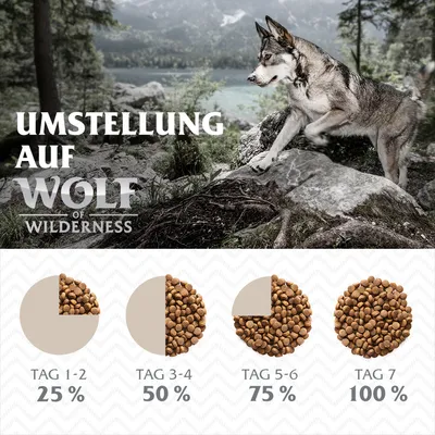 Umstellung auf Wolf of Wilderness: Fütterungsempfehlung mit schrittweiser Erhöhung des Anteils. Tag 1-2: 25%, Tag 3-4: 50%, Tag 5-6: 75%, Tag 7: 100%.
