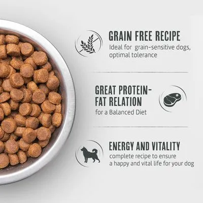 Briantos Junior Kip & Aardappel (Graanvrij) Hondenvoer