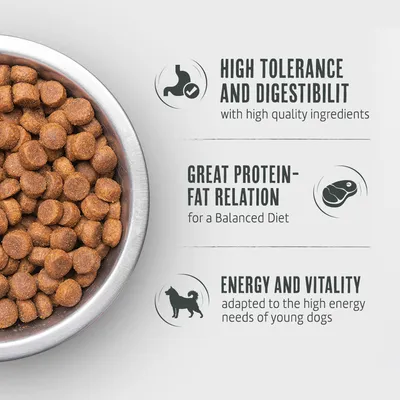 Dry food in bowl. Features: high tolerability and digestibility, good protein-fat ratio for balanced nutrition, energy and vitality for young dogs.