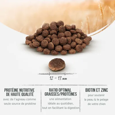 Croquettes pour chien, diamètre 12–13 mm. Texte visible : protéine nutritive de haute qualité, ratio optimal graisses/protéines, biotine et zinc. Agneau comme seule source de protéine.
