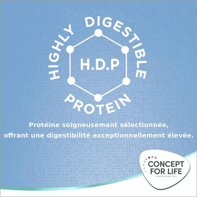 Concept for Life Large Junior pour chien