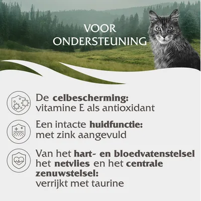 Voor ondersteuning: celbescherming met vitamine E, huidfunctie met zink, hart- en bloedvaten, netvlies en zenuwstelsel verrijkt met taurine.