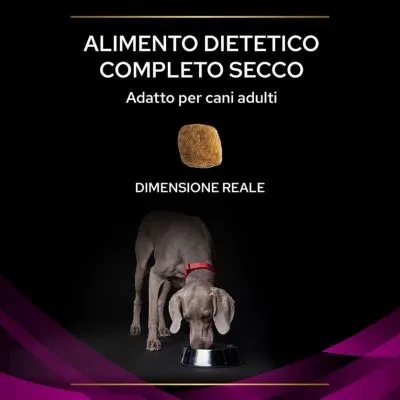 Alimento dietetico completo secco, adatto per cani adulti. Dimensione reale della crocchetta mostrata. Cane adulto grigio con collare rosso che mangia da una ciotola.