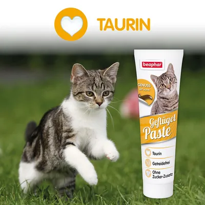 beaphar Geflügel Paste, tekst: Taurin, Getreidefrei, Ohne Zucker-Zusatz, GENUSS MIT HUHN. Obraz kota i tubki pasty na trawie.
