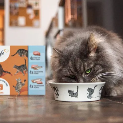 Cat eating from a bowl in front of a box showing three types of wet food portions, each with four servings: tuna loin, tuna and sardine, and tuna and mackerel.