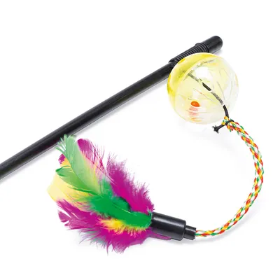 Karlie Katzenangel Day and Night