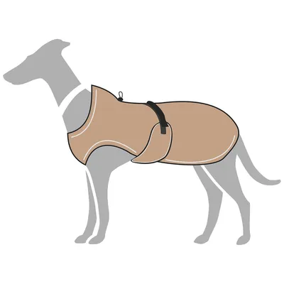 Ilustracja psa w beżowym płaszczu z czarnym paskiem zapięcia. Pokazuje dopasowanie płaszcza do ciała.