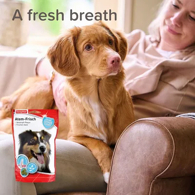 beaphar Atem-Frisch hondenproductverpakking met tekst: 'A fresh breath', zonder toegevoegde suikers, afbeelding van hond op verpakking zichtbaar.