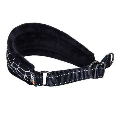 Schwarzes Hundehalsband mit gepolsterter Innenseite, reflektierenden Nähten und Spinnennetzmuster. Verstellbare Schnalle und Metallringe sichtbar.