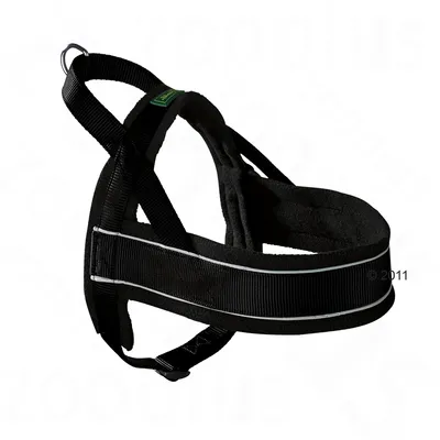 Black fabric dog harness with reflective strip, metal ring for lead attachment, and green label on strap. No visible brand or size information.