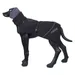 Rukka® Warmup Dog Coat 2.0 – Black