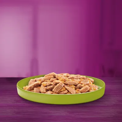 Croquettes ou bouchées pour animaux dans une gamelle verte posée sur une table violette, sans marque ni texte visible.