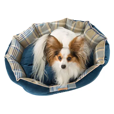 Rundes Hundebett mit blauem Stoff und kariertem Rand, geeignet für kleine Hunde.
