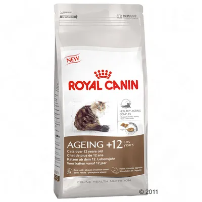 Royal Canin Ageing 12+ dry food for cats over 12 years, with healthy ageing complex, supports renal health and stimulates appetite. Text in multiple languages visible on packaging.