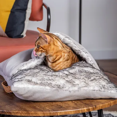Braun getigerte Katze sitzt in einer grauen Kuscheldecke mit Kunstfell-Innenfutter auf einem Holztisch.