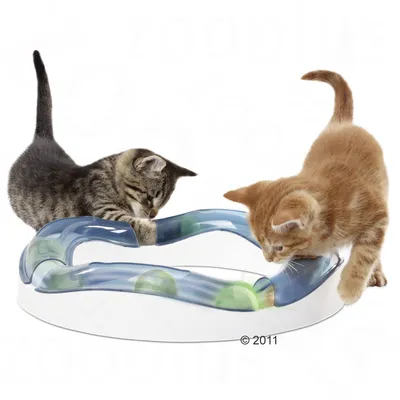 Two kittens playing with a circular interactive track toy containing green balls, demonstrating product use and engagement.