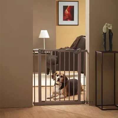 Hond achter metalen veiligheidshek in deuropening, hek met verticale spijlen. Woonkamer op de achtergrond met bank, lamp en schilderij zichtbaar.
