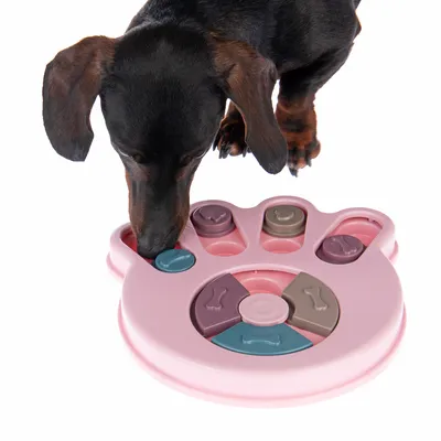 Dog playing with pink intelligence toy in paw shape, featuring movable elements and compartments for treats.
