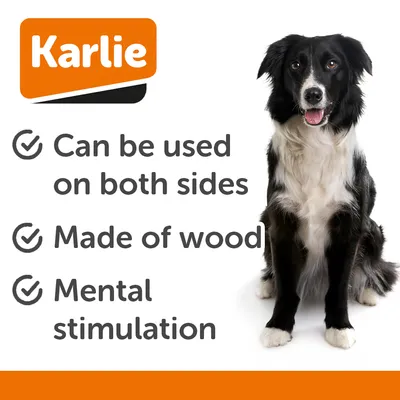 Karlie Doggy Brain Train 2in1 Dog Intelligence Toy