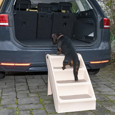 Hund steigt über eine beige Kunststoff-Hundetreppenhilfe in den Kofferraum eines Autos. Treppe mit vier Stufen und rutschfesten Belägen.