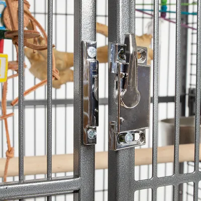 Gros plan sur la serrure métallique d'une cage à barreaux, perchoir en bois et accessoires visibles à l'intérieur.