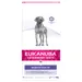 Eukanuba VETERINARY DIETS Dermatosis