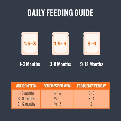 Daily feeding guide showing for 1-3 months: 1.5-3 pouches, 3-8 months: 1.5-4 pouches, 9-12 months: 3-4 pouches. Table details pouches per meal and frequency by age.