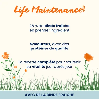 Almo Nature Holistic dinde, riz