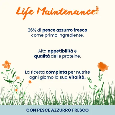 Almo Nature Functional Life Maintenance Pesce Azzurro e Riso