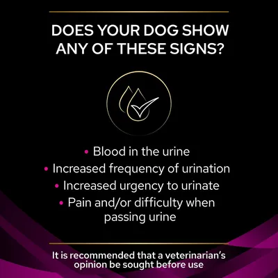 Signs listed: blood in urine, increased frequency or urgency to urinate, pain or difficulty passing urine. Veterinary advice recommended before use.
