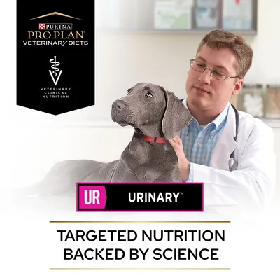 Purina Pro Plan Veterinary Diets UR Urinary. Targeted nutrition backed by science. Veterinary clinical nutrition shown with a vet and animal.