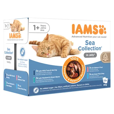 IAMS Sea Collection in Jelly pour chats 1+ ans, 12x85g. 3x thon sauvage et hareng, 3x saumon et truite, 3x maquereau et haricots verts, 3x poisson de mer et pois. Sans sucre ajouté.