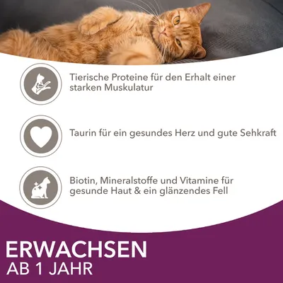 Texte en allemand : protéines animales pour la musculature, taurine pour le cœur et la vue, biotine, minéraux et vitamines pour la peau et le pelage. Erwachsen ab 1 Jahr.
