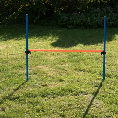 Hindernis-Set mit zwei blauen Stangen und einer verstellbaren roten Querlatte, geeignet für Training oder Agility im Garten.