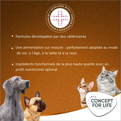 Concept for Life Medium Adult pour chien